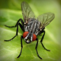 /album/producto-inovador-tecnologico/photolia-a01-jpg/