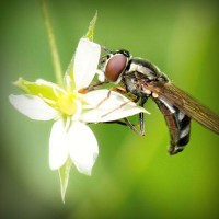 /album/producto-inovador-tecnologico/photolia-a02-jpg/