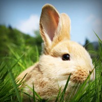 /album/producto-inovador-tecnologico/photolia-a03-jpg/