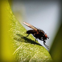 /album/producto-inovador-tecnologico/photolia-a04-jpg/