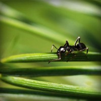 /album/producto-inovador-tecnologico/photolia-a05-jpg/