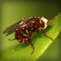 /album/producto-inovador-tecnologico/photolia-a06-jpg/