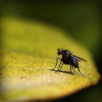 /album/producto-inovador-tecnologico/photolia-a07-jpg/