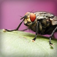 /album/producto-inovador-tecnologico/photolia-a08-jpg/